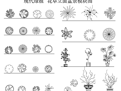 现代绿植 树叶 灌木 绿植 盆栽 花草立面图 施工图