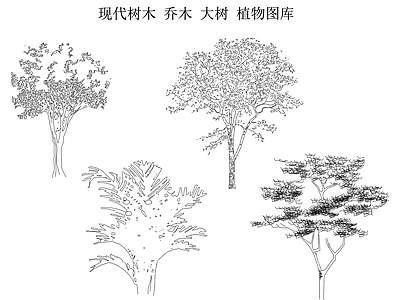 现代绿植 松树 木树 户外大树 树木立面图 施工图
