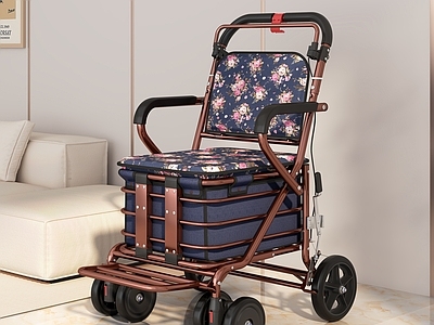 其他生活用品 老年折叠购物车