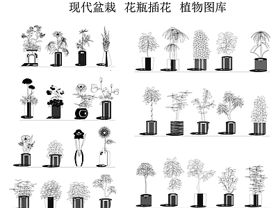 现代绿植 盆栽 绿植 花瓶插花 室内植物图库 施工图