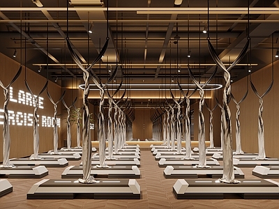 现代原木瑜伽室 现代瑜伽运动室