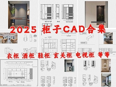 柜体节点 全屋定制 柜子 衣柜 鞋柜 酒柜 施工图
