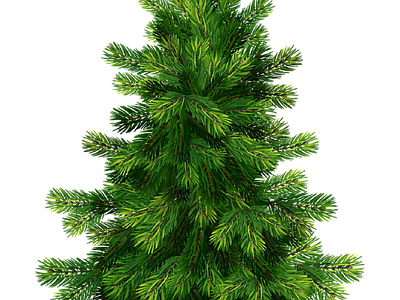 现代其它HDR 免抠植物树木 乔木