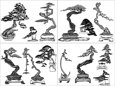 中式绿植 盆景绿植 施工图