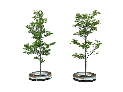 乔木 2D景观树 行道树 树池乔木