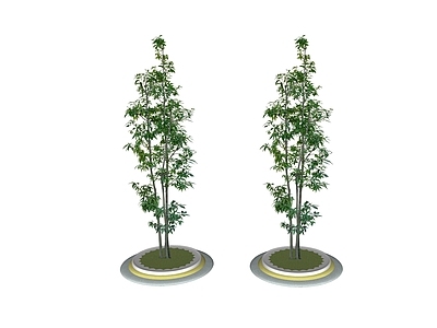 竹子 2D景观树 树池竹子