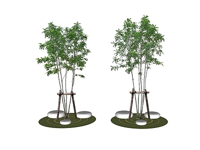 乔木 2D树池 景观树 树池乔木 行道树
