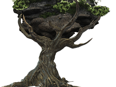 现代其它HDR 免抠植物树木 乔木