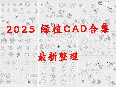 现代绿植 植物 盆栽 树木 施工图