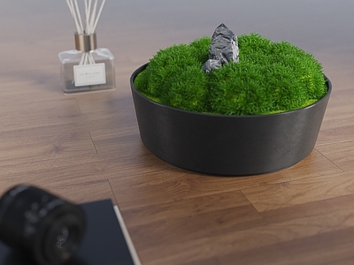 苔藓 苔藓景观 苔藓球 苔藓盆栽景观 植物艺术装置 苔藓盆景