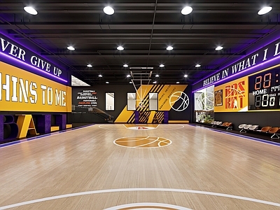 现代篮球场 室内篮球场 现代篮球馆 植物造景