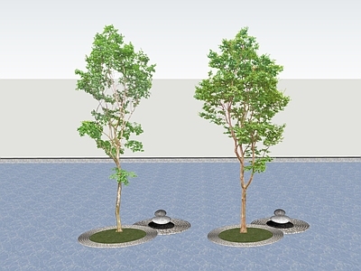 乔木 2D行道树 树池乔木 景观树
