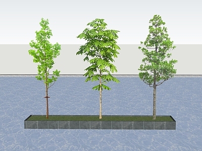 乔木 2D行道树 景观树 树池乔木