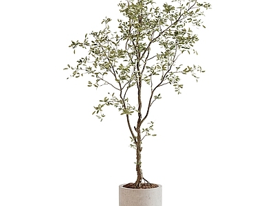 现代欧式花钵 花草