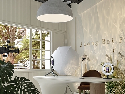 现代其他通用空间 现代奶油直播间