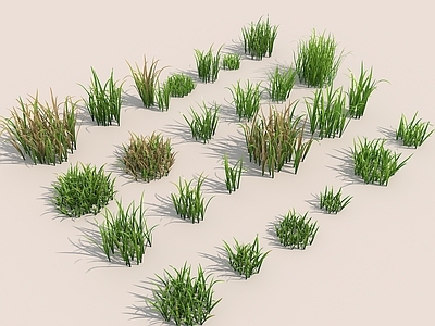 草 草地 小草 现代草皮 野外草皮 杂草