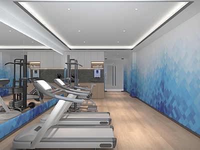 现代简约健身房 酒店健身房器材