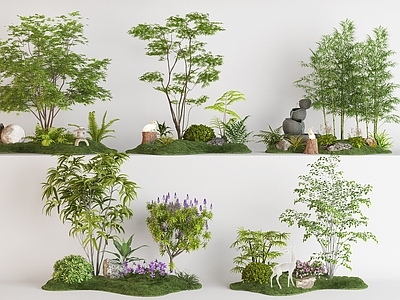 现代庭院小品 现代庭院景观小品 植物造景植物堆 蕨类植物组合 景观绿植 景观树景观小品
