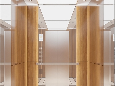 现代简约电梯间 办公电梯间 酒店电梯间 别墅电梯间 电梯轿厢