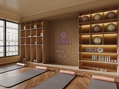 现代瑜伽室 现代瑜伽室 健身用品