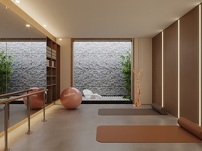 现代瑜伽室 现代瑜伽室 健身用品 健身房