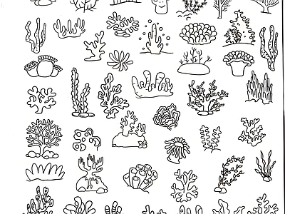 现代综合植物图库 珊瑚 施工图