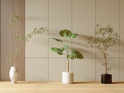 其他树木 绿植组合 盆栽