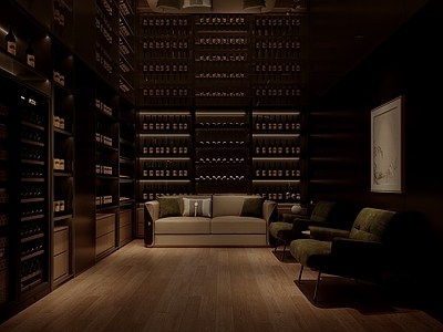 现代酒窖 酒窖
