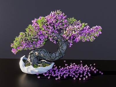 花草 勒杜鹃 杜鹃 老桩勒杜鹃 老桩盆景 盆景