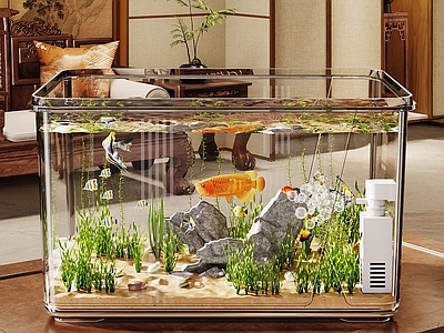 宠物用品 鱼缸 鱼 水草