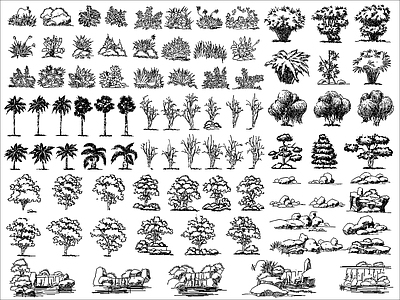 现代综合植物图库 现代绿植石头组合 施工图