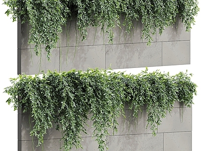 绿植墙 绿植墙