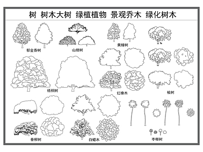 乔木种植 树 大树树木 绿植植物 景观乔木 绿化树木 施工图