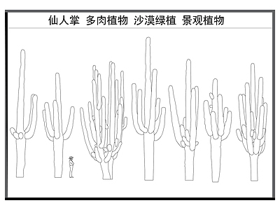 现代综合植物图库 仙人掌 多肉植物 沙漠绿植 景观植物 施工图