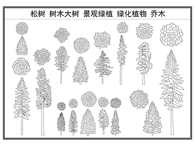 乔木种植 松树 树木大树 景观绿植 绿化植物 乔木 施工图