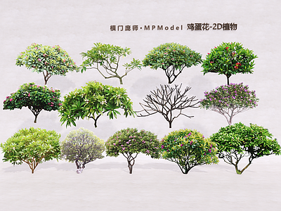灌木 鸡蛋花 2D植物 2D灌木