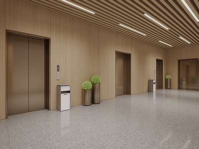 现代电梯间 现代电梯间 电梯门 绿植
