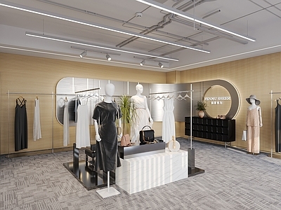 现代轻奢服装店 女装店 鞋店 男装店