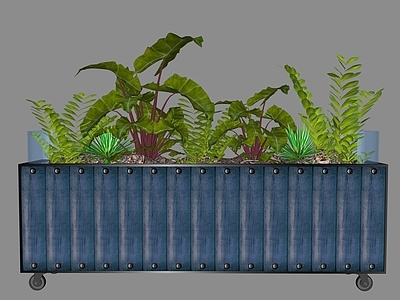 植物组合 花坛 绿植隔断 盆栽组合