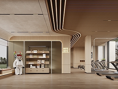 现代健身房 健身房