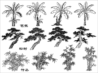 现代绿植 芭蕉松树竹丛 施工图