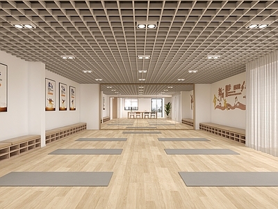 现代瑜伽室 瑜伽室 舞蹈室