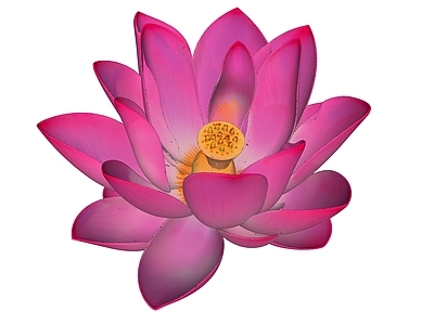 现代其他摆件 粉色荷花装饰摆件