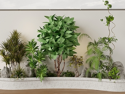植物组合 现代植物堆组合 树池植物组合