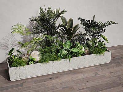 植物堆 绿植 盆栽 绿植组合