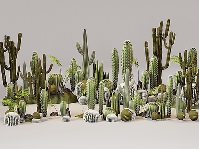 现代植物堆 植物堆 绿植组合 仙人掌组合