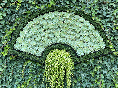 现代绿植墙 垂直绿化墙 植物墙 绿植墙 仿真植物墙