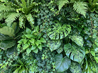现代绿植墙 垂直绿化墙 植物墙 绿植背景墙 仿真植物 装饰墙面