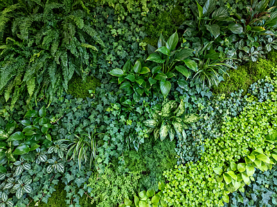 现代绿植墙 垂直绿化墙 植物墙 绿植背景墙 仿真植物 装饰墙面