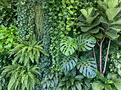 现代绿植墙 垂直绿化墙 植物墙 绿植背景墙 仿真植物 装饰墙面
